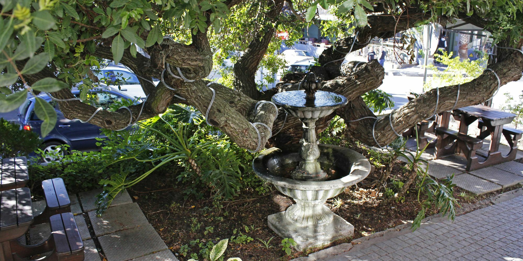 Dixon House In De Waterkant By Cape Finest Cape Town Eksteriør bilde